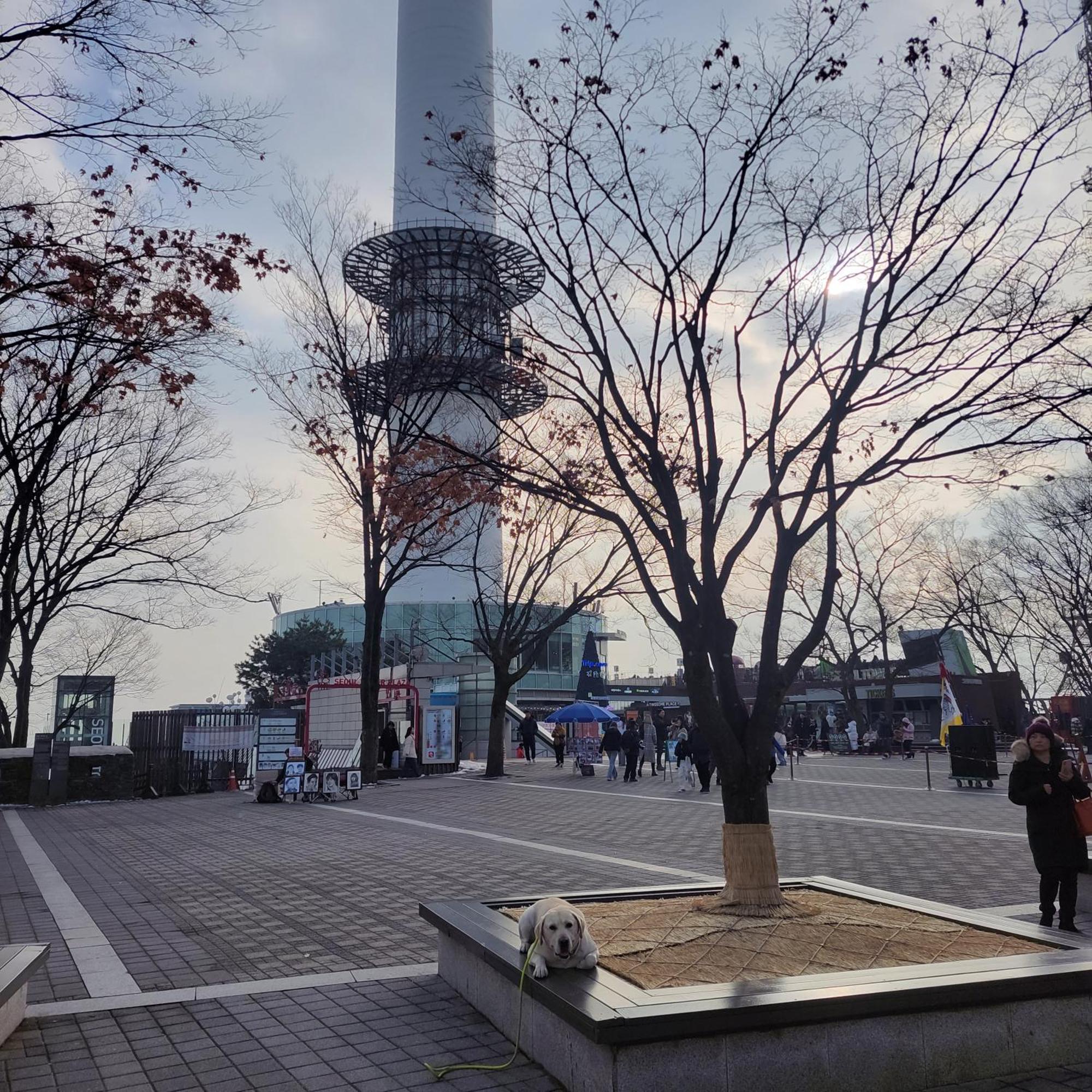 On The Main Street Of Hbc #4 Villa Seoul Exterior photo